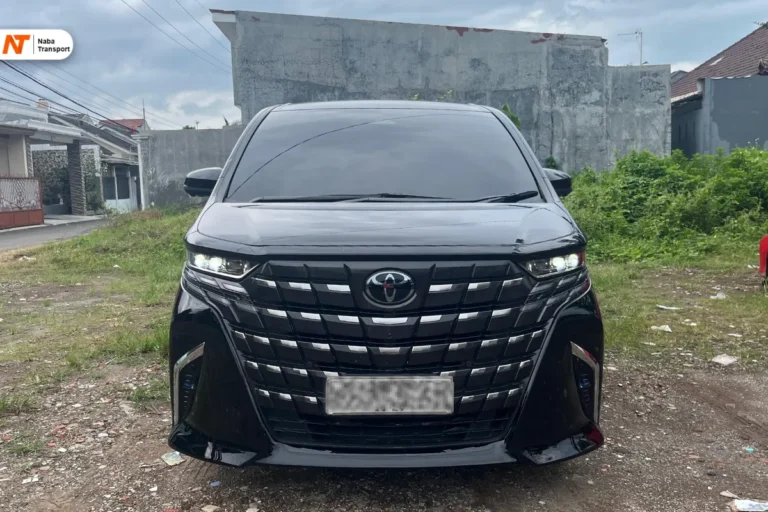 sewa alphard