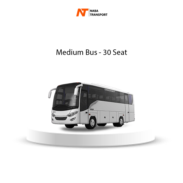 Big MPV - Medium bus