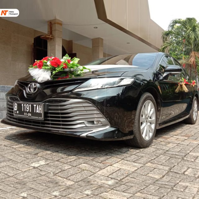 wedding car 14 (FILEminimizer)