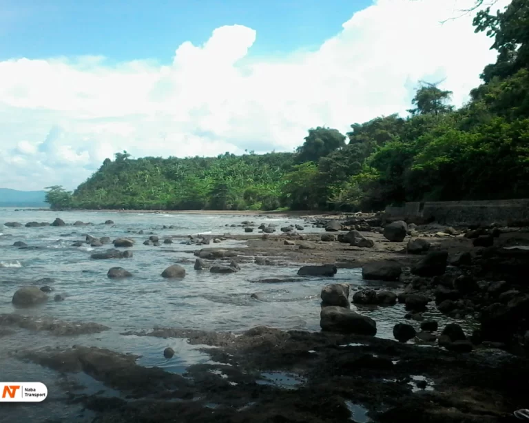Pantai Ujung Negoro​