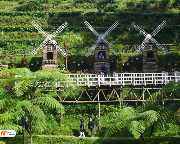 Kebun Teh Pagilaran​