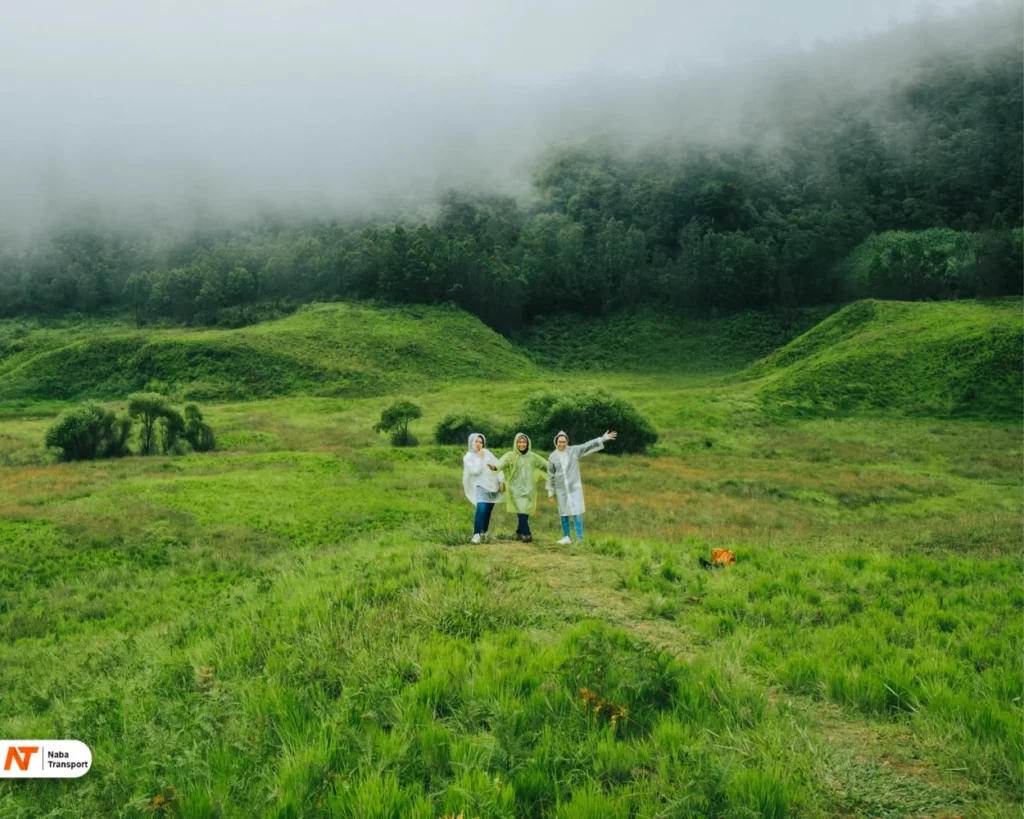 Source : dieng.travel