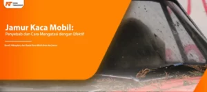 Read more about the article Jamur Kaca Mobil : Penyebab dan Cara Mengatasi dengan Efektif