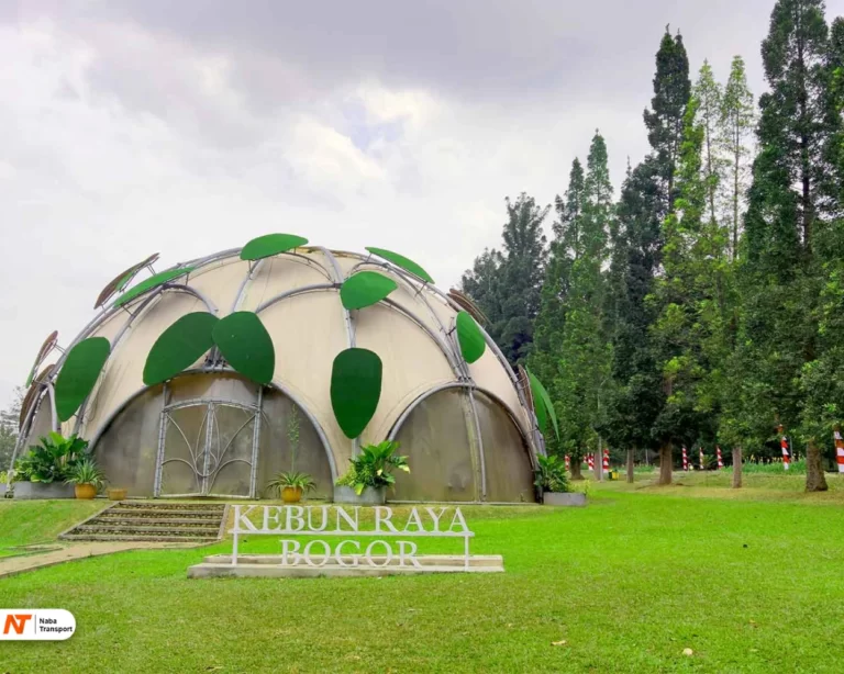kebun raya bogor