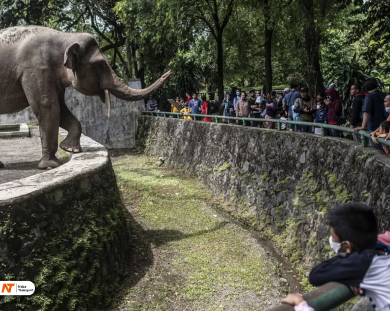 taman margasatwa ragunan