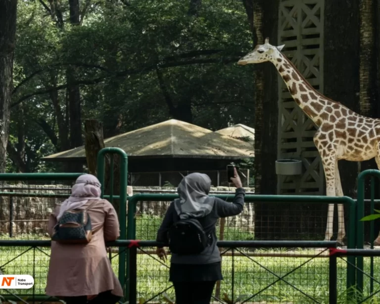 taman margasatwa ragunan