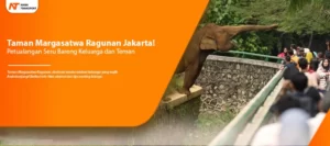 Read more about the article Serunya Berpetualang di Taman Margasatwa Ragunan Jakarta!