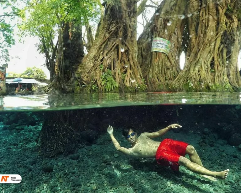 BerenangSource by Wisata Hits