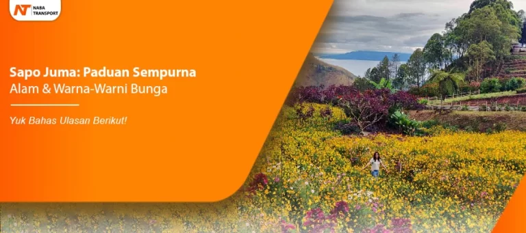 Read more about the article Paduan Sempurna Alam & Warna-Warni Bunga di Sapo Juma