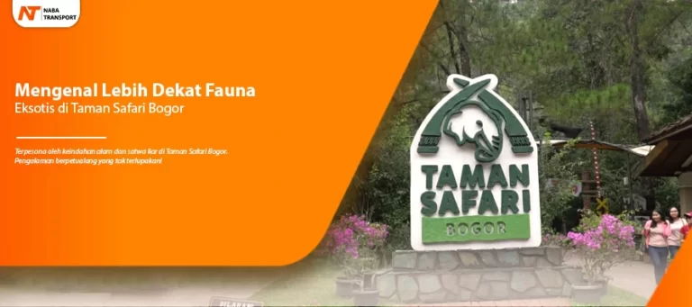 Read more about the article Mengenal Lebih Dekat Fauna Eksotis di Taman Safari Bogor