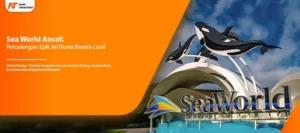 Read more about the article Sea World Ancol: Petualangan Epik ke Dunia Bawah Laut!