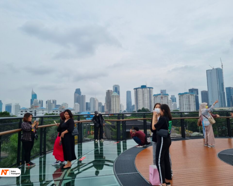 Source by Thepharase.id