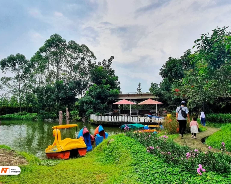 Source by momopururu