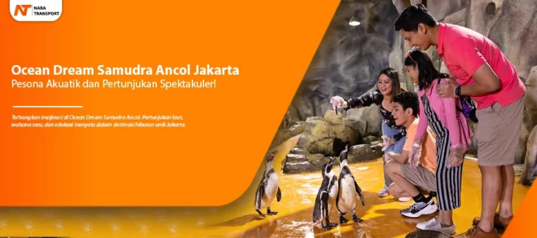 Read more about the article Ocean Dream Samudra Ancol Jakarta Pesona Akuatik dan Pertunjukan Spektakuler!