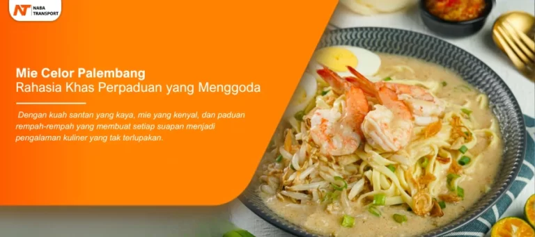 Read more about the article Mie Celor Palembang Rahasia Khas Perpaduan yang Menggoda