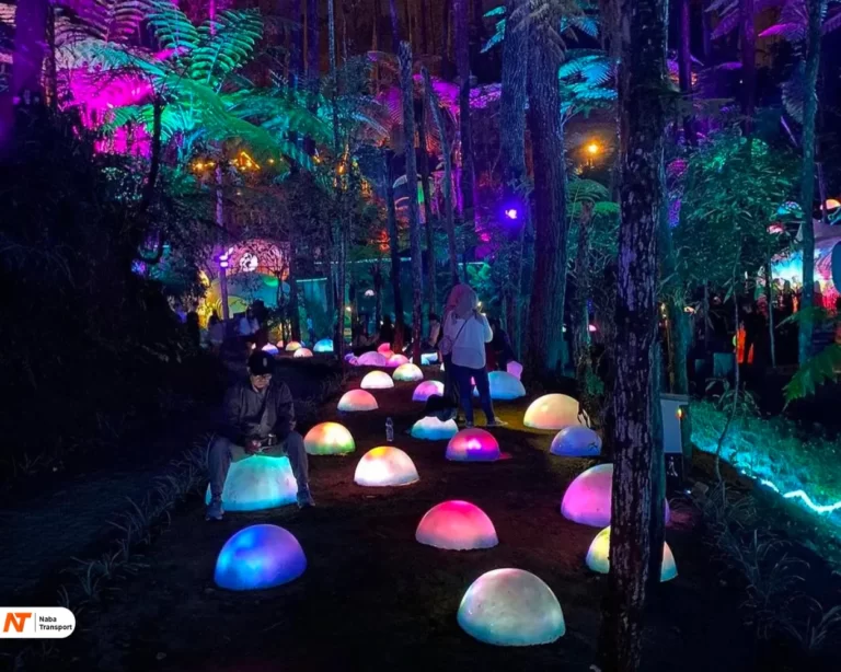 Hutan Mycelia Cikole