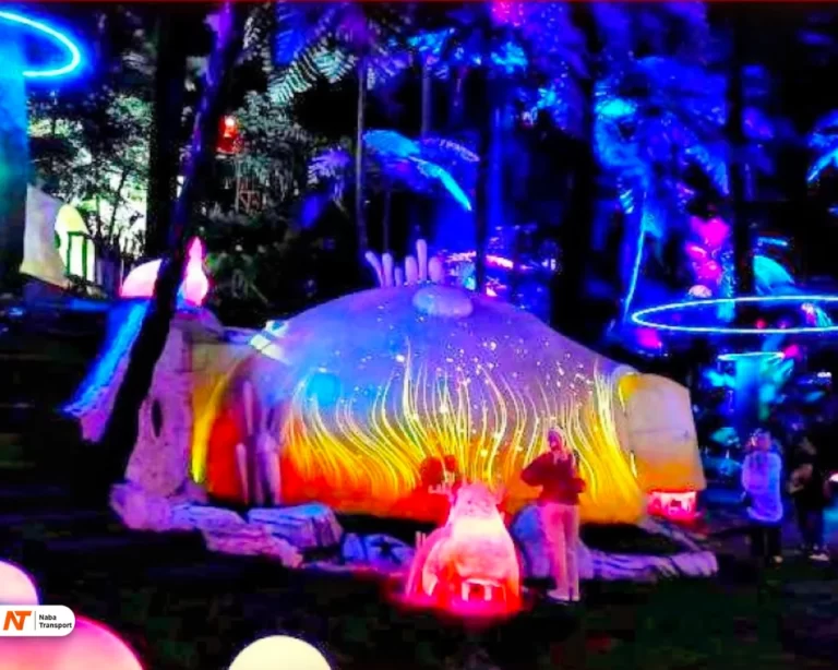 Source By Lapakaku.com