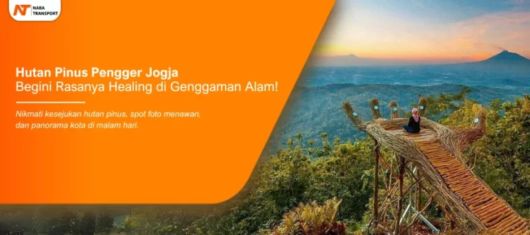 Read more about the article Ternyata Begini Rasanya Healing di Genggaman Alam Hutan Pinus Pengger Jogja