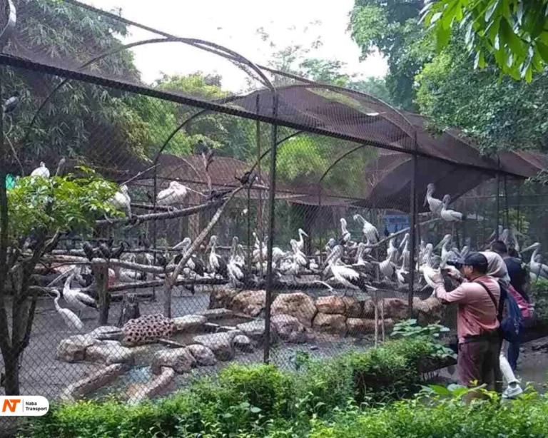 Kebun Binatang Surabaya