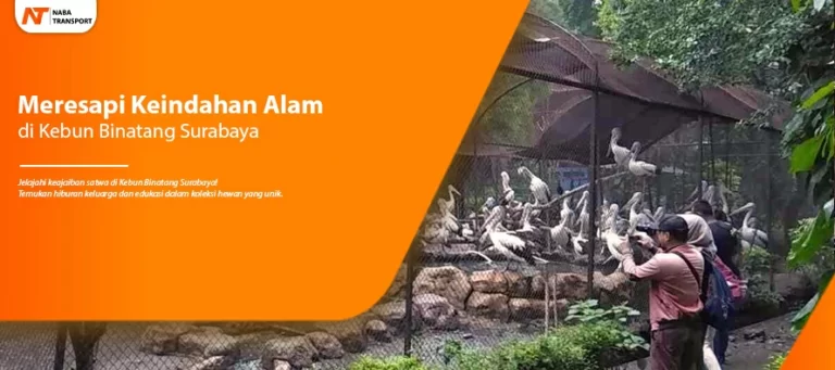 Read more about the article Meresapi Keindahan Alam di Kebun Binatang Surabaya