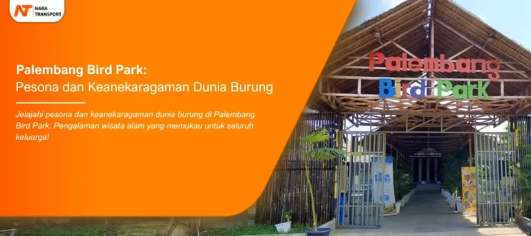 Read more about the article Palembang Bird Park: Pesona dan Keanekaragaman Dunia Burung