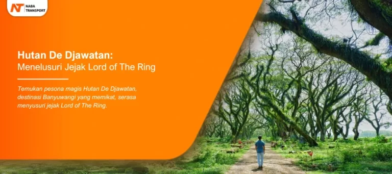 Read more about the article Hutan De Djawatan: Menelusuri Jejak Lord of The Ring