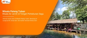 Read more about the article Unik! Wisata Air Jernih di Tengah Perkebunan Sagu, Wisata Pelang Tuban