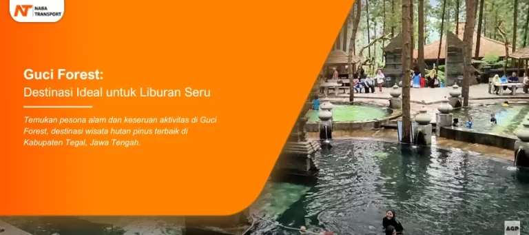 Read more about the article Guci Forest: Destinasi Ideal untuk Liburan Seru