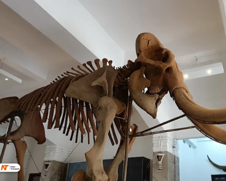 Museum Geologi Bandung