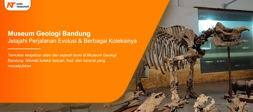 You are currently viewing Jelajahi Evolusi dan Berbagai Koleksi di Museum Geologi Bandung
