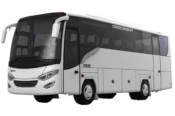 sewa medium bus