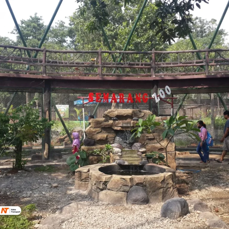 Source By bentasatu.com