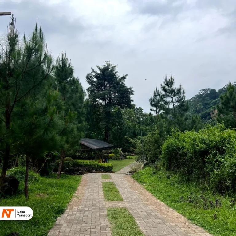 Taman Wisata Alam Cibuntu​