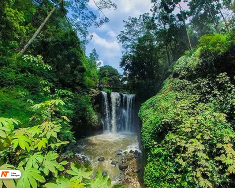 Curug ciomas