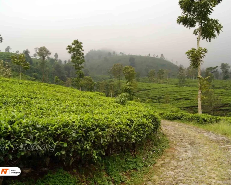 Source By Get Lost Id