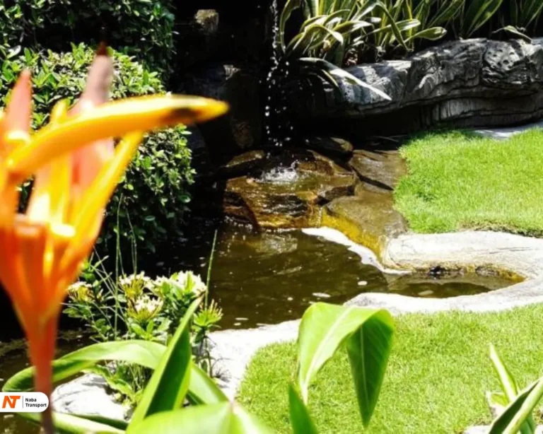 Taman source by agoda. Com