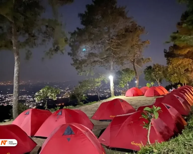 City light Lamping kidang source by Depostjabar.com