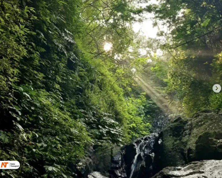 Suasana Curug Source by Bolususulembang.com