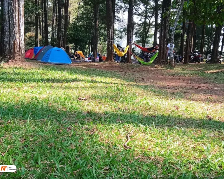 Area Berkemah source by suryaniyani.com