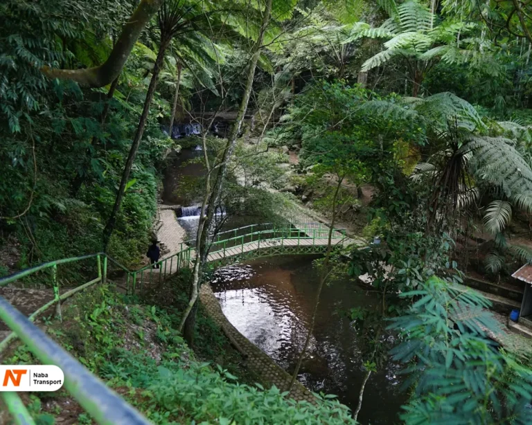 Jalur traking ke curug putridan curug landung source by Alifiqbal.com