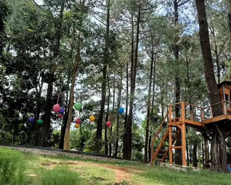 Ketenangan di Tengah Alam source by muhamadyogi.com