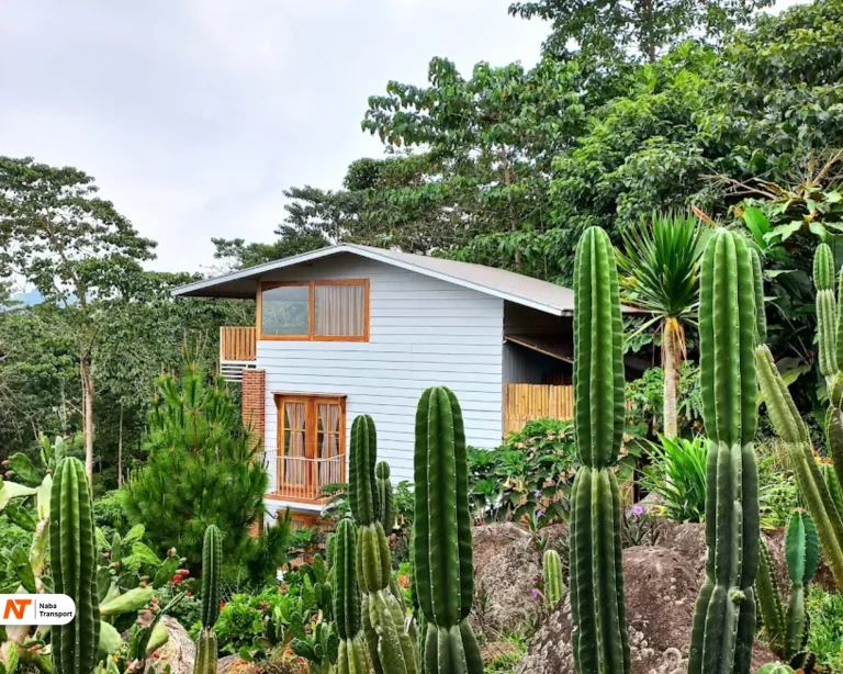 Ciremai Land Glamping