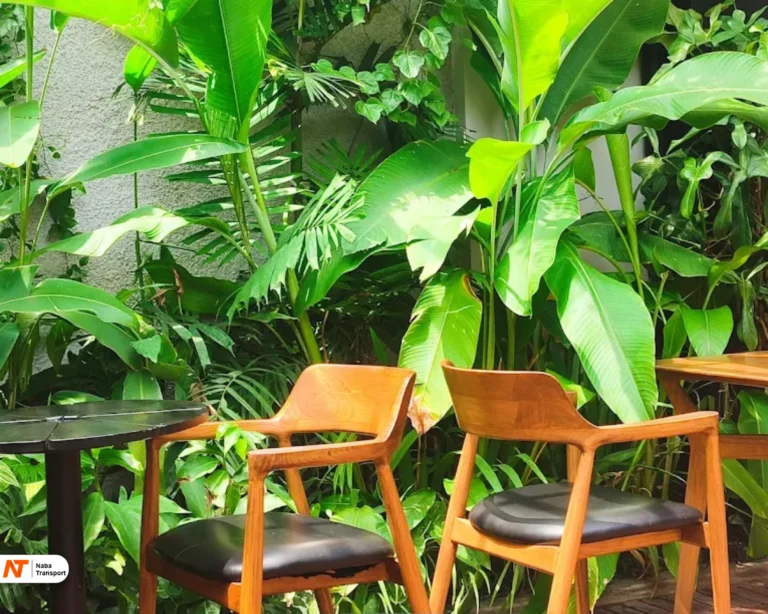 Outdoor Asri Source by Sundaze Coffee & Eatery