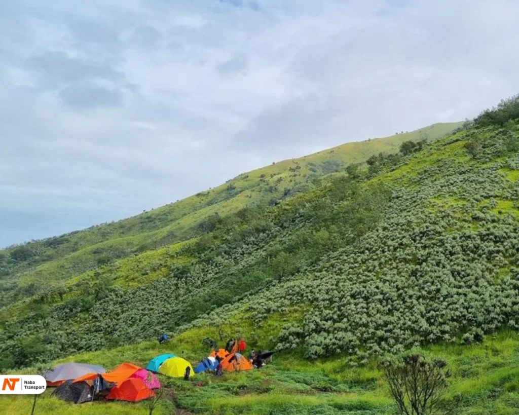 Camping di gn merbabu by detikcom