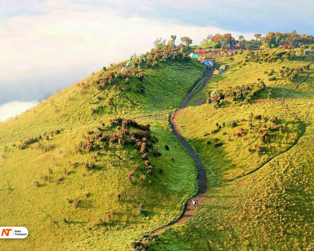 Sabana 2 Gn Merbabu by phinemo
